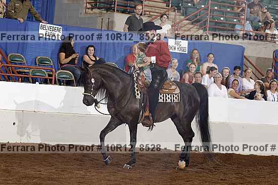 Proof 10r12_8528