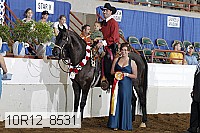 10r12_8531 proof