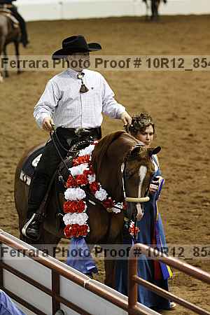 Proof 10r12_8541