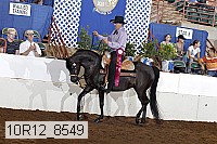 10r12_8549 proof