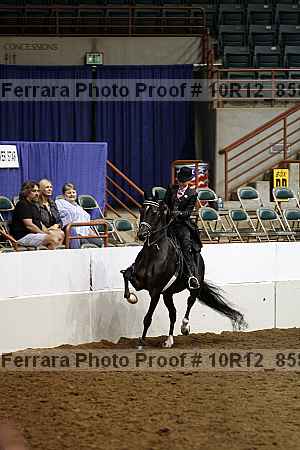 Proof 10r12_8586