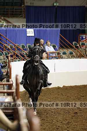 Proof 10r12_8587