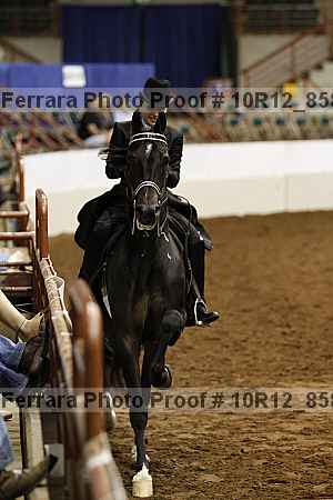 Proof 10r12_8588
