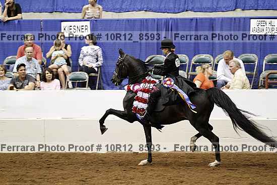 Proof 10r12_8593