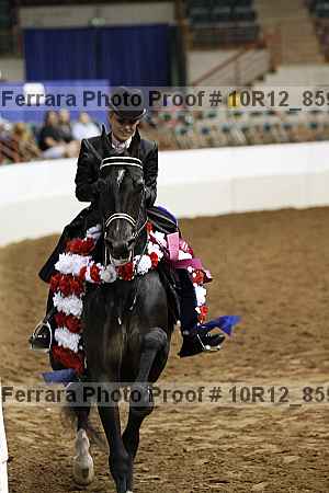 Proof 10r12_8596