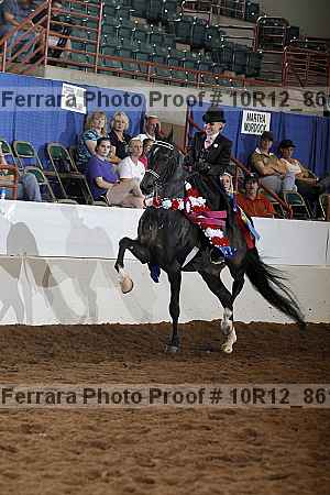 Proof 10r12_8611