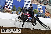 10r12_8612 proof