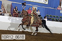 10r12_8618 proof