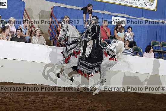 Proof 10r12_8623