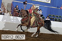 10r12_8627 proof