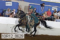 10r12_8629 proof