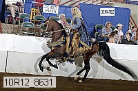 10r12_8631 proof