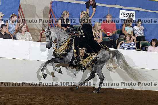 Proof 10r12_8639