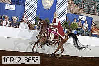 10r12_8653 proof