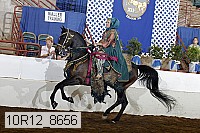 10r12_8656 proof