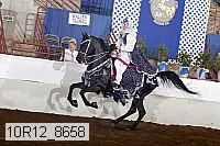 10r12_8658 proof