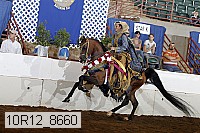 10r12_8660 proof