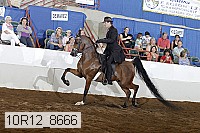 10r12_8666 proof