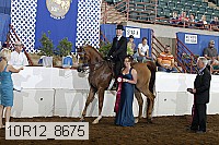 10r12_8675 proof