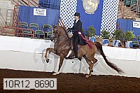 10r12_8690 proof