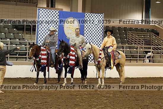 Proof 10r12_0339