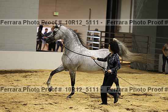 Proof 10r12_5111