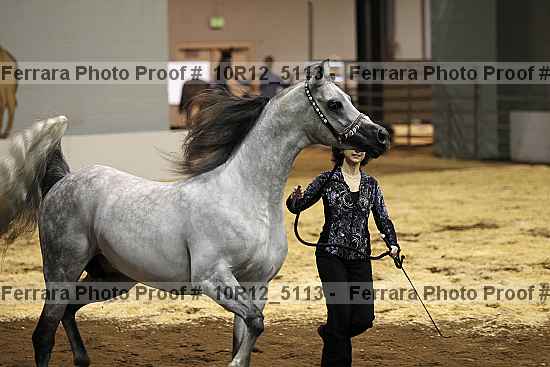 Proof 10r12_5113