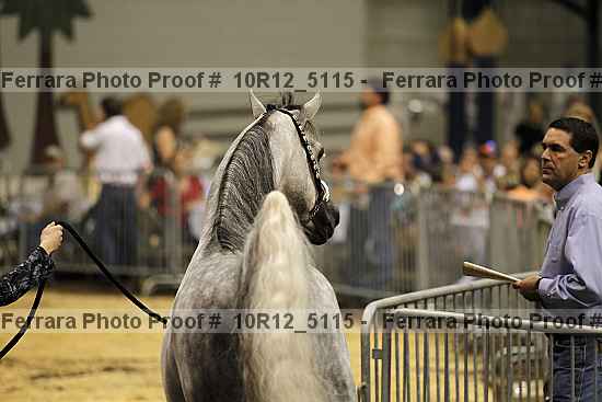 Proof 10r12_5115
