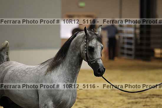 Proof 10r12_5116