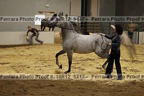 Proof 10r12_5117