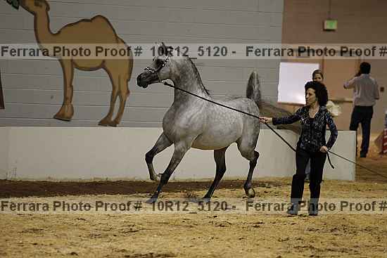 Proof 10r12_5120
