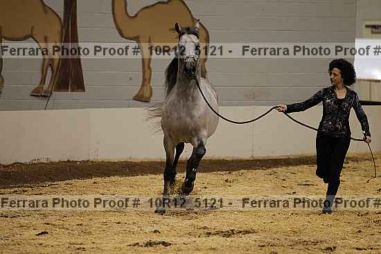 Proof 10r12_5121