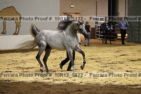 Proof 10r12_5122