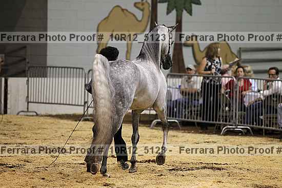 Proof 10r12_5123