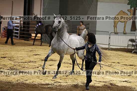 Proof 10r12_5125
