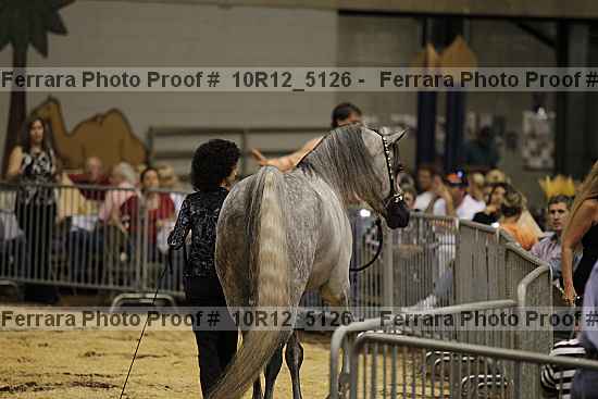 Proof 10r12_5126