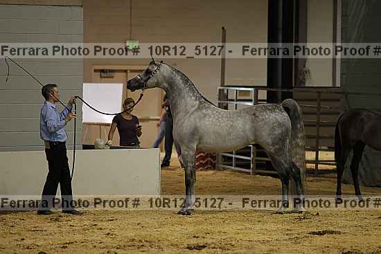 Proof 10r12_5127