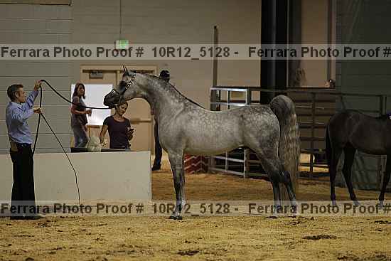 Proof 10r12_5128