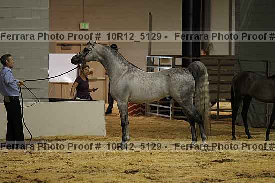 Proof 10r12_5129