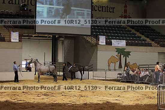 Proof 10r12_5130