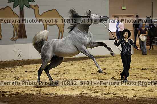 Proof 10r12_5131
