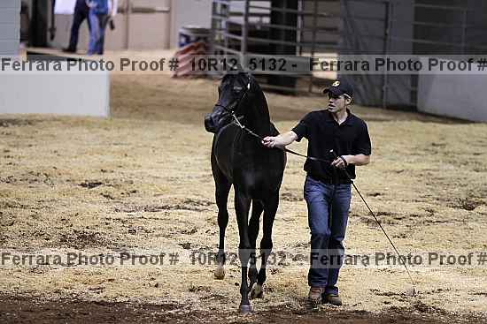 Proof 10r12_5132