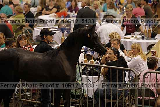 Proof 10r12_5133