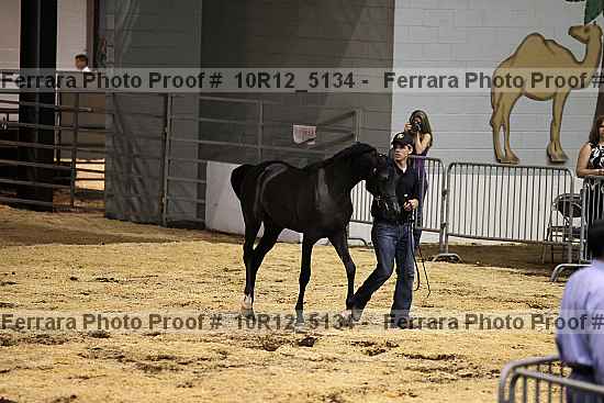 Proof 10r12_5134
