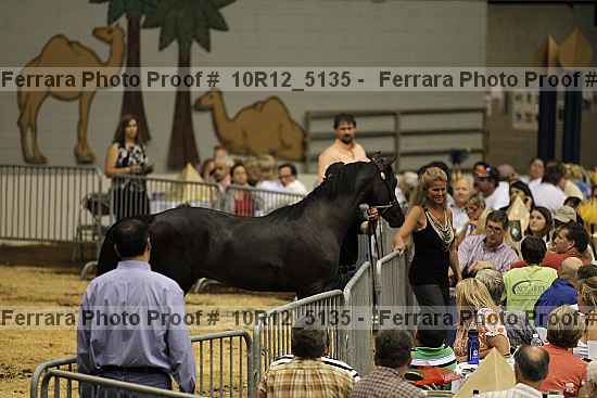 Proof 10r12_5135