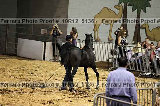 Proof 10r12_5136