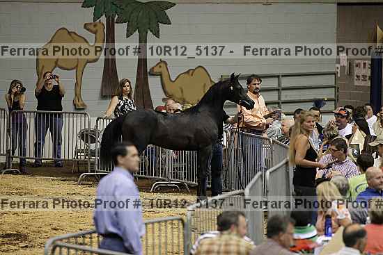 Proof 10r12_5137