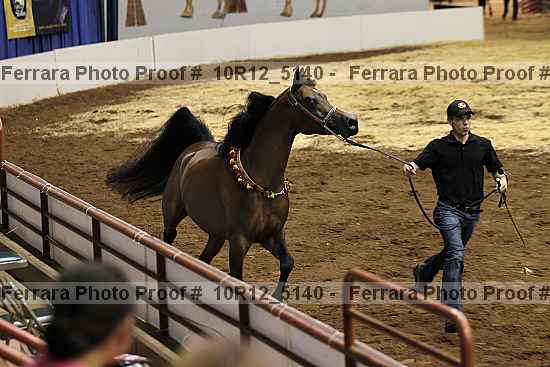 Proof 10r12_5140