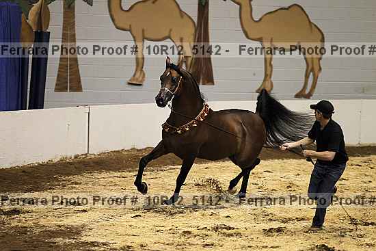 Proof 10r12_5142