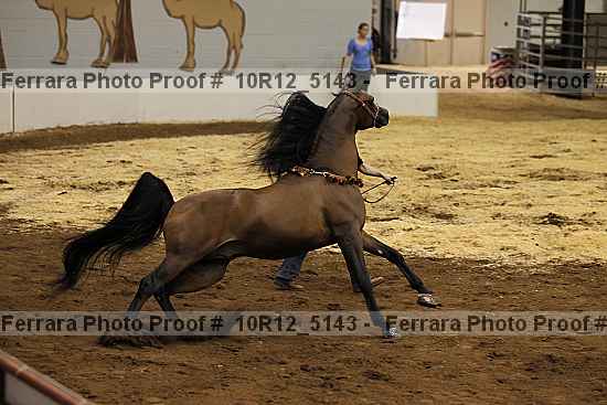 Proof 10r12_5143